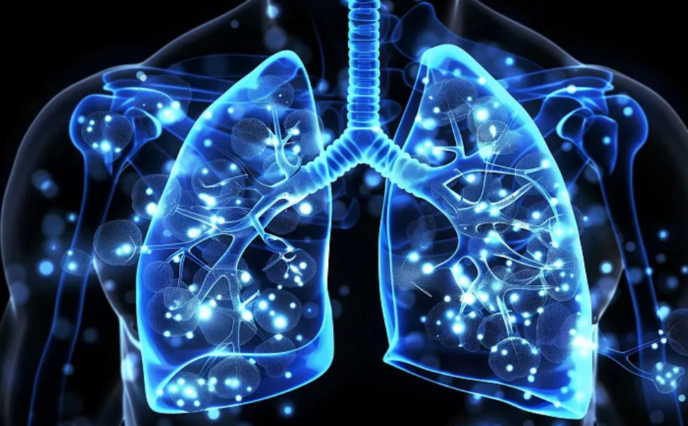 多模态数据分析